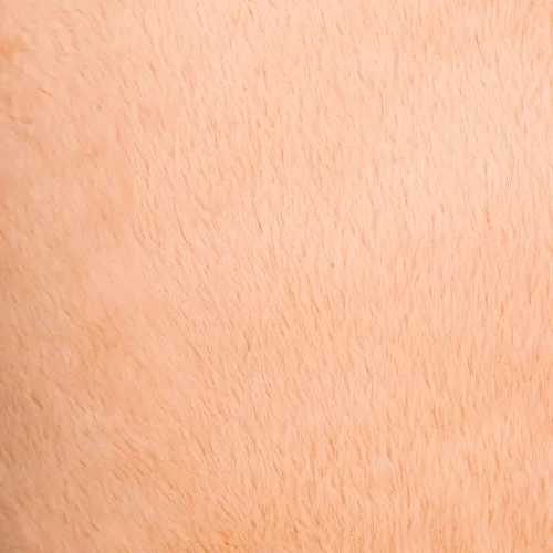 Big Teddy Bear, Soft Toy, 200 Cm, Light Brown, Toto